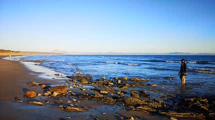 Strand Sunlight Cliff 600 (2019)