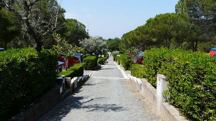 campingplatz, toskana, italien, urlaub, reise, top camping Valle Gaia