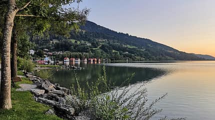 Alpsee Camp Alpsee Camp