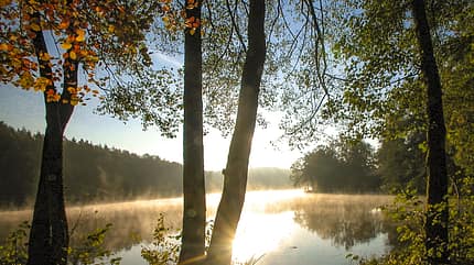 Oberer Bayrischer Wald, Weichselbrunn, CdM Camping Weichselbrunn Oberer Bayrischer Wald