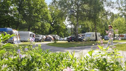 Oberer Bayrischer Wald, Weichselbrunn, CdM Camping Weichselbrunn Oberer Bayrischer Wald