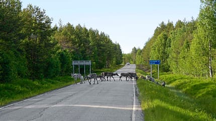 Wohnmobil-Reise Finnland