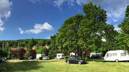 Harzer Feriengarten Kurcamping, Natur, Campingplatz Harzer Feriengarten Kurcamping