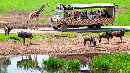 Serengeti-Park Hodenhagen, Reiseziel, Camping, Safari Parks Serengeti-Park Hodenhagen