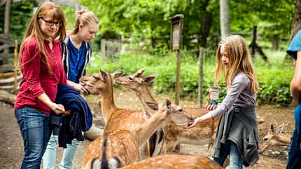 Wildpark Bad Mergentheim, Reiseziel, Camping, Safari Parks Wildpark Bad Mergentheim