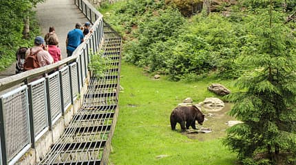 Nationalparkzentrum Lusen, Reiseziel, Camping, Safari Parks Nationalparkzentrum Lusen