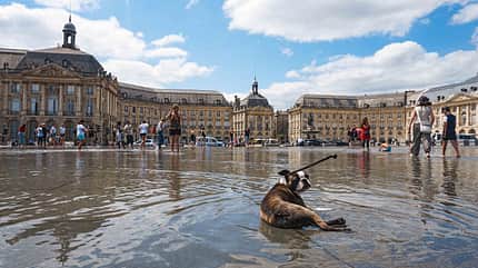 Campingbus, Tour de France, Asterix, Comic Campingbus-Tour de France