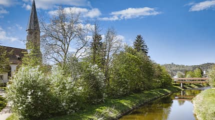 Stellplatz, Fokus, Tipps, Hohenlohe, Baden-Württemberg Stellplatz-Fokus Hohenlohe
