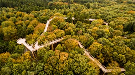 Baumwipfelpfad, Deutschland, Natur, Reise, Tipps Baumwipfelpfad Panarbora