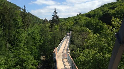 Baumwipfelpfad, Deutschland, Natur, Reise, Tipps Baumwipfelpfad Harz