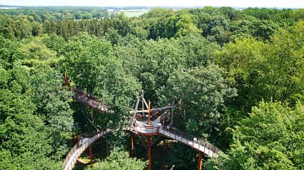 Baumwipfelpfad, Deutschland, Natur, Reise, Tipps Baumkronenpfad Ivenacker Eichen