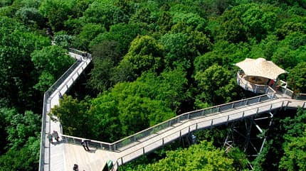 Baumwipfelpfad, Deutschland, Natur, Reise, Tipps Baumkronenpfad Hainich