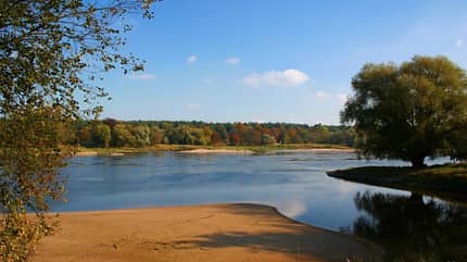 Herbstziele, Biosphärenreservat, Mittlere Elbe, Deutschland, Herbst Herbstziel: Biosphärenreservat Mittlere Elbe