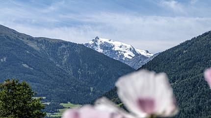 caravan, tour, etsch, vinschgau, suedtirol, italien Vinschgau