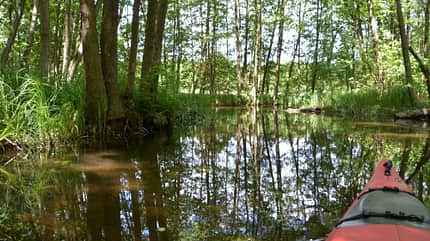 Uckermark, Brandenburg, Natur, Wohnmobil-Reise Zur einmaligen Verwendung - Uckermark