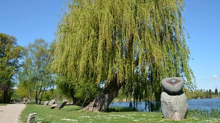 Uckermark, Brandenburg, Natur, Wohnmobil-Reise Zur einmaligen Verwendung - Uckermark