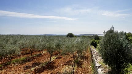 Istrien, Kroatien, Reise, Wohnmobil, Adria Reise-Tipp Istrien