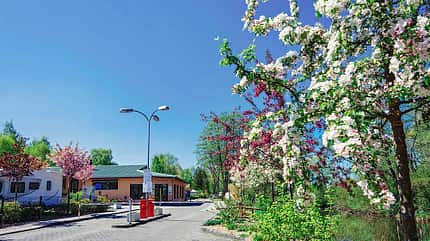 Blütencamping Riegelspitze, Campingplatz, Tipp, Brandenburg Blütencamping Riegelspitze