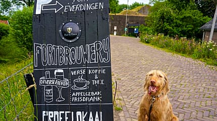 Bier, Reise, Tipp, Tour, Niederlande Bier-Tour Niederlande