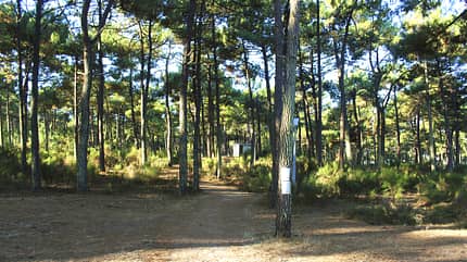 FKK-Camping