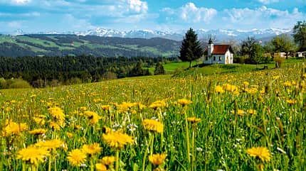 Campingplatz, Archiv, Allgäu, Deutschland, Österreich Campingplatz-Archiv Allgäu