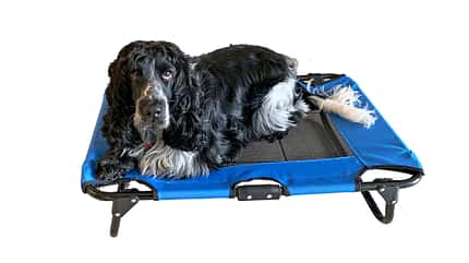Peggypeg Pet Bed, Neuheiten, Zubehör Peggypeg Pet Bed