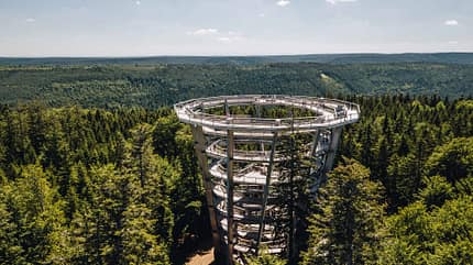 Baumwipfelpfad Bad Wildbad Baumwipfelpfad Bad Wildbad