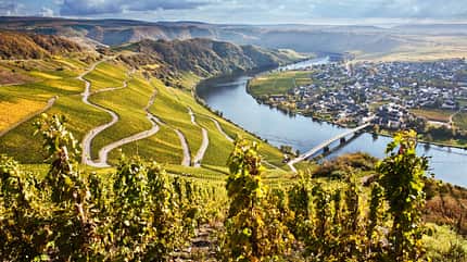 Mosel Mosel