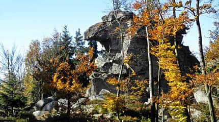 Zipfeltannenfelsen / Steinwald-Sphynx