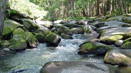 Butterfass Waldnaabtal / Fichtelgebirge