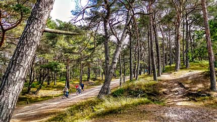 wohnmobil, tour, usedom, deutschland, ostsee Wohnmobil-Tour Usedom