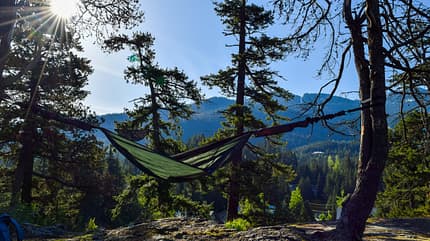 Wildcamping, Hängematte, Natur, Wald Wildcamping