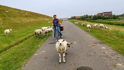 wohnmobil, norden, niederlande, friesland, groningen, fahrrad, tour Mobil-Tour Niederlande
