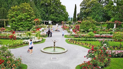 Naturcamping Litzelstetten Mainau 