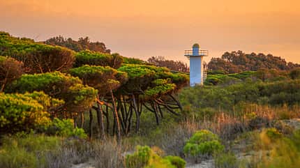 Caravaning, Reisen, Andalusien Tour entlang der Costa de la luz (2021)