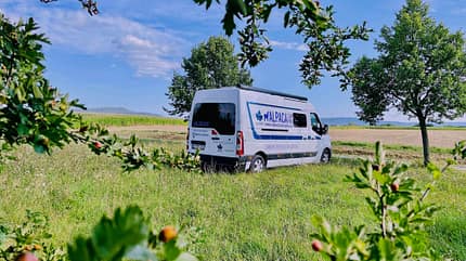 Sportplatz Wiebelsberg, Campinggemeinde Oberschwarzach, Franken, AlpakaCamping Campinggemeinde Oberschwarzach