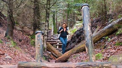 Schwarzwald, Reisen, Campingbusse Schwarzwald Reise