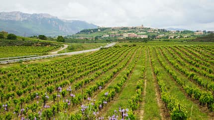 nordspanien, camino, frances, pilgern, wohnmobil Camino Francés