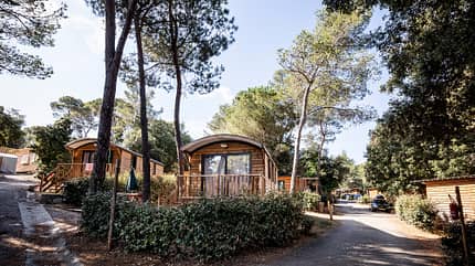 Camping Forêt de Janas Camping Forêt de Janas