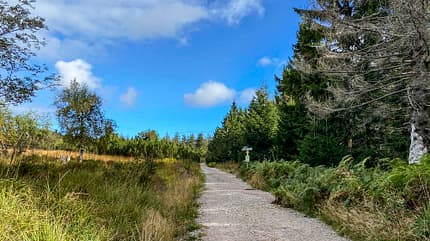 Nationalpark Schwarzwald, Reise-Tipp, Deutschland, Camping Nationalpark Schwarzwald
