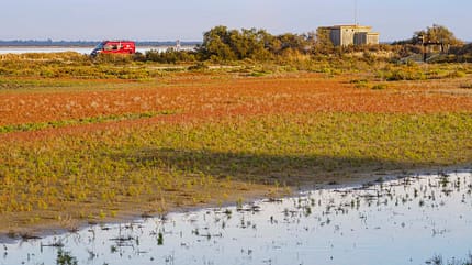 wohnmobil, tour, suedfrankreich, camargue Wohnmobil-Tour Camargue