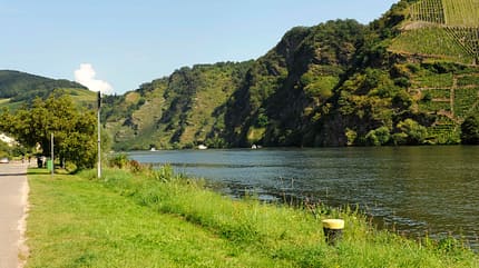 stellplaetze, mosel, weinreben Stellplätze an der Mosel