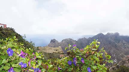mobil-tour, teneriffa, kanaren Mobil-Tour Teneriffa