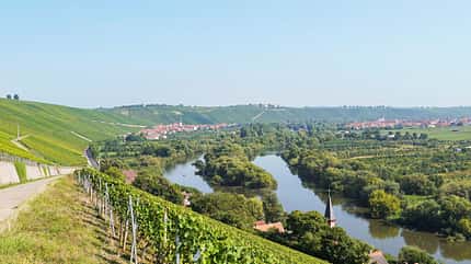 CDM Katzenkopf Katzenkopf