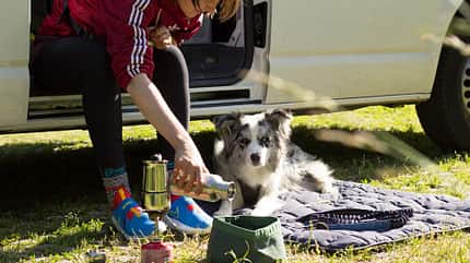 Hundezubehör von Tchibo Hundezubehör von Tchibo