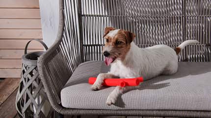 Hundezubehör von Tchibo Hundezubehör von Tchibo