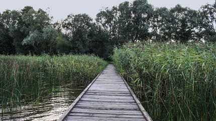 Reise, Polen Polen