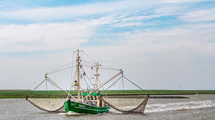 Norddeutschland, Reise, Bremen Bremen
