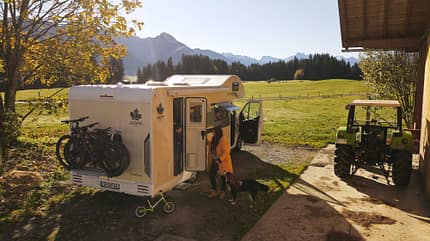 alpaca, camping, naturcamping, deutschland AlpacaCamping