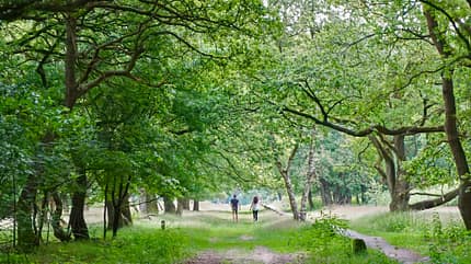 Niederlande, Nationalparks Sternenparks, Reisen Sternenparks Niederlande